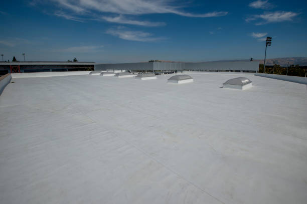Best Metal Roofing Installation  in Laguna Beach, CA