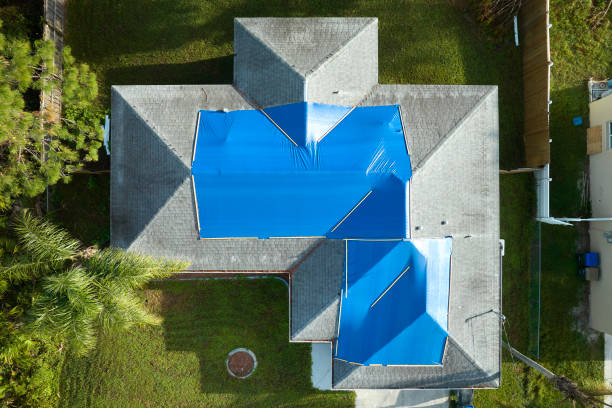 Best Roof Maintenance and Cleaning  in Laguna Beach, CA